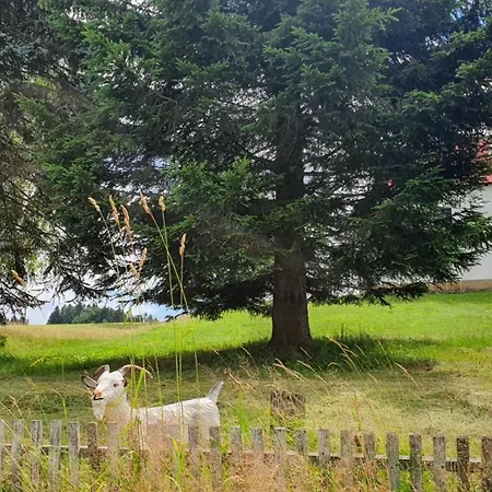 Na Cihaku Klasterec nad Orlici